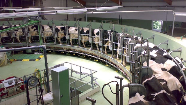 GDT takes slight drop in latest auction