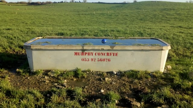 How much water will your cows drink during warm weather?