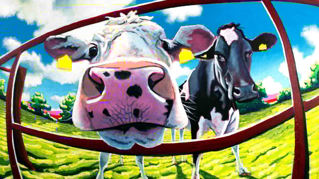 Artist looks to farmer friends for their cows as muses