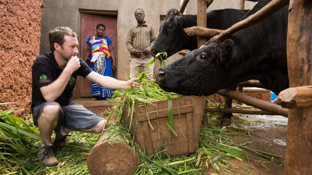 Video: Westmeath farmer observes late father's legacy 6,500 miles away