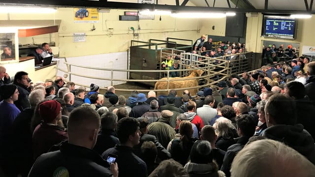 Stores lead the way as cattle marts 'close up shop' for Christmas