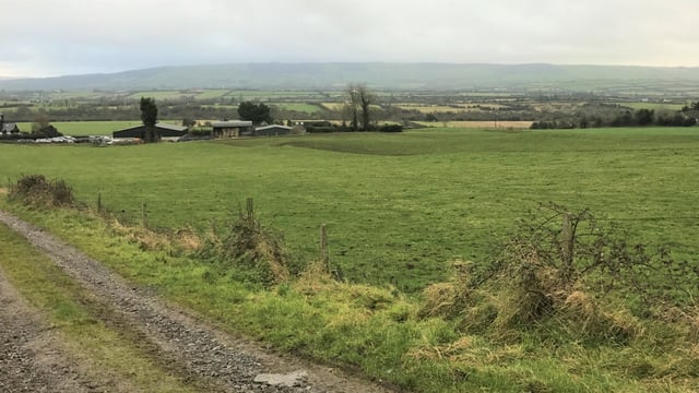 Beef focus: 'Moving to organic beef is the best decision I've made'