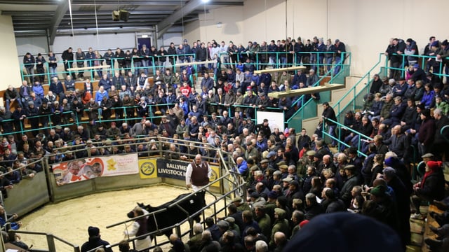 Charity livestock auctions reach just shy of £100,000 target