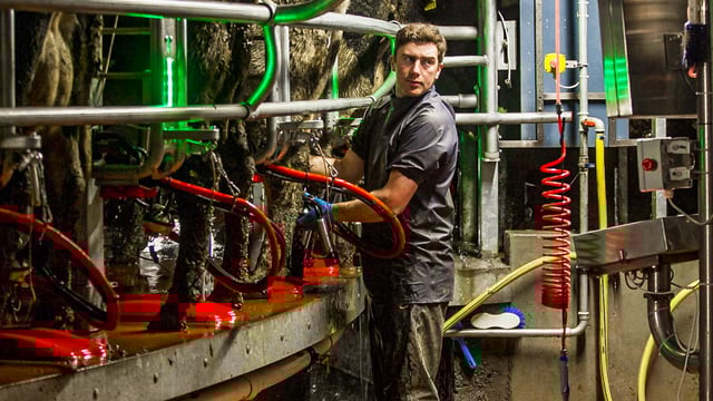 Dairy focus: 'We need to park our drive for efficiency and focus on people'