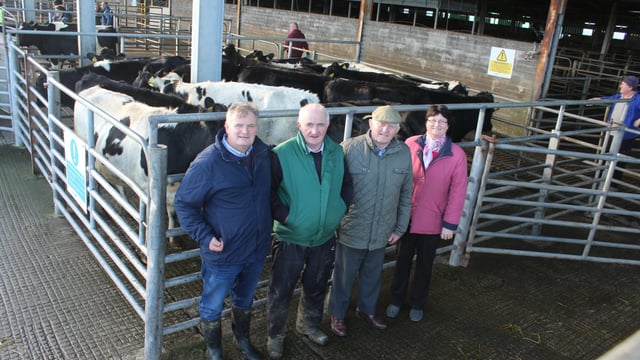 Irish farmers help lift families out of poverty worldwide