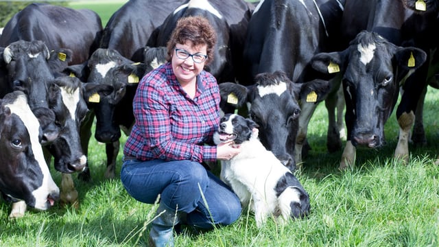 Three generations of farming at Crettyard inspires Sixsmith's new book