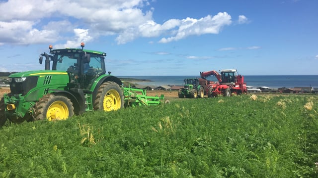 Supermarket agrees financial support for vegetable growers
