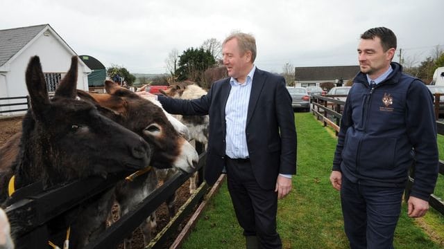Over €2.5 million in funding allocated to 111 animal welfare organisations
