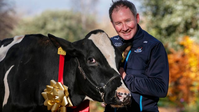 Watch: Jim Gavin takes a cow for a stroll around Dublin