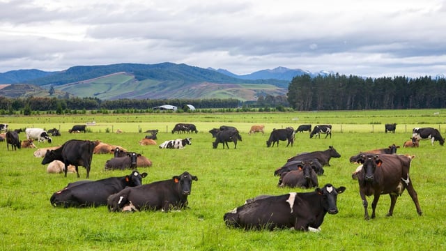 Farm assistants in New Zealand among jobs available in agri-sector