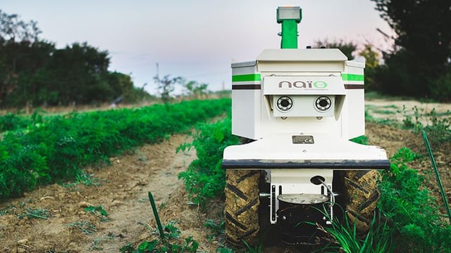 Video: Taking the hardship out of weeding with a robot