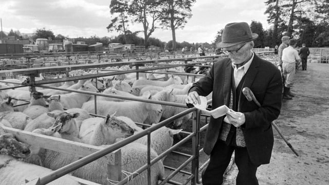 Aughrim sheep breeders revive show memories with book launch