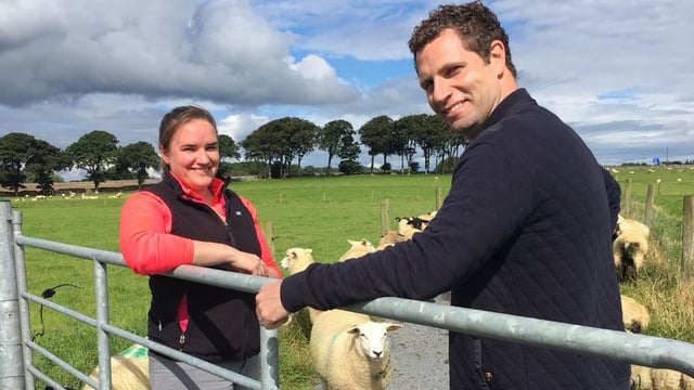 TV tonight: Could genetics hold the key for Irish farming?