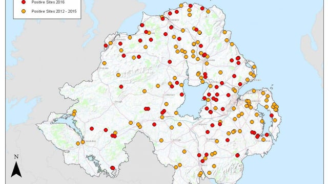 Department consults on Ash Dieback measures as spread continues