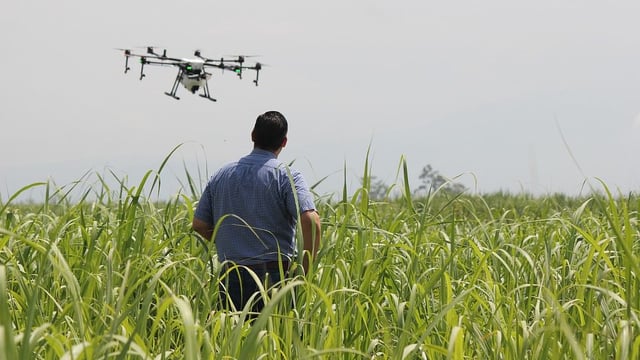 Drones, clean energy and precision: Plans for UK's farming future