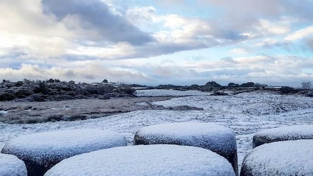 Widespread mart cancellations as big freeze continues
