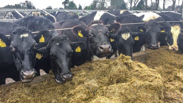 Arrabawn follows suit with milk price trend for December supplies