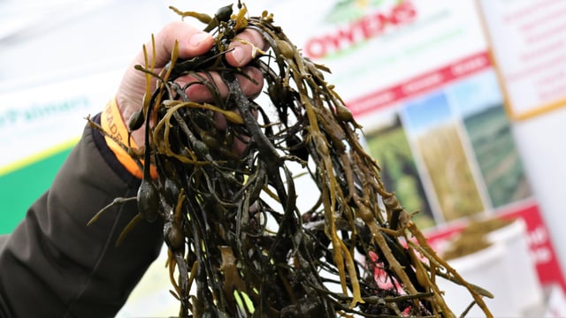 €20m approved by minister for aquaculture capital investment scheme