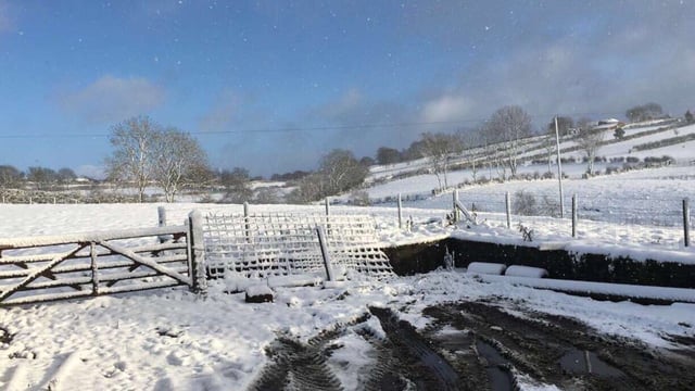 Disruptive snow showers on the cards as cold snap set to hit Ireland