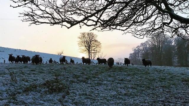 Orange weather alert issued as temperatures to plunge to -6°