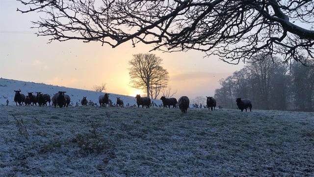 Temperatures to plummet to -10º in some areas