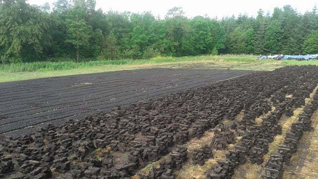 'When there's a war, now is not the time to introduce a turf ban'