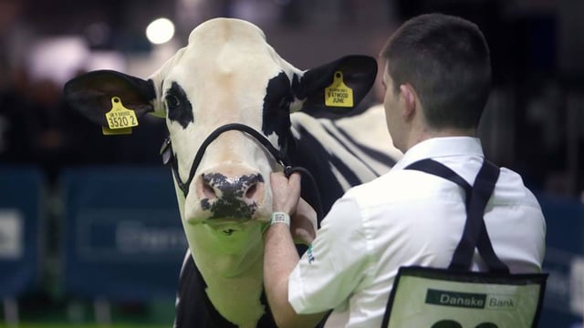 RUAS makes decision on 2020 Winter Fair plans