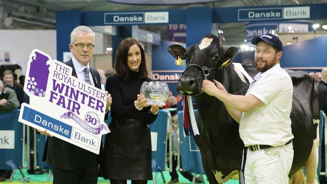 Winter Fair: Crowds flock to Ireland's largest dairy show - follow the action as it happens