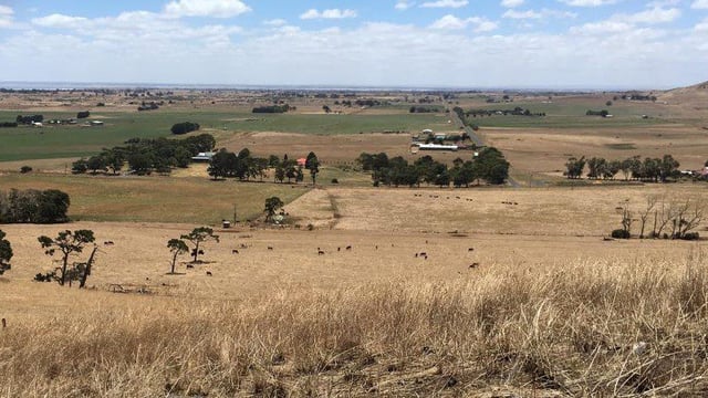Dairy farming in a volanic valley and exporting to China: Heather reports from Australia