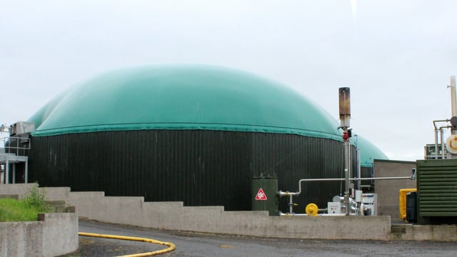There is absolutely no need for a new sugar plant in Carlow