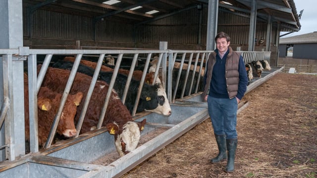 How more than 100 Scottish farmers pooled together for fairer prices