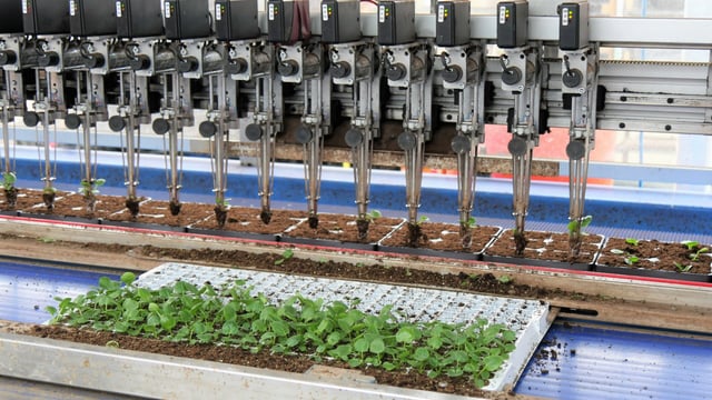 4 out of 5 UK growers say agri-robotics could help their businesses
