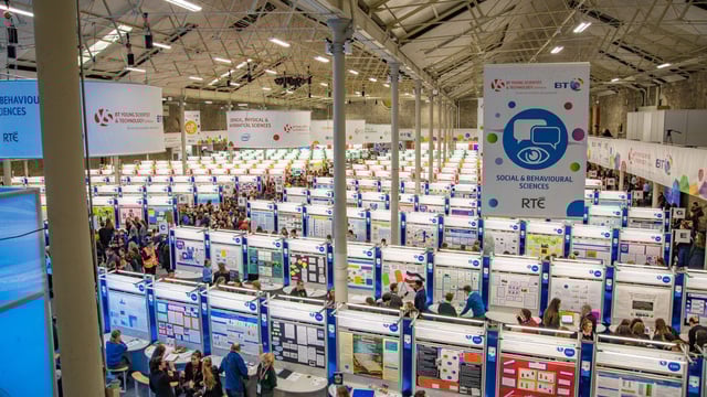 Video: Young scientists 'create buzz' with agri-inspired projects