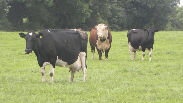 DNA: 'What a success story agriculture has been'