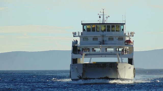 New ferry service from Cork could provide an avenue for live exports
