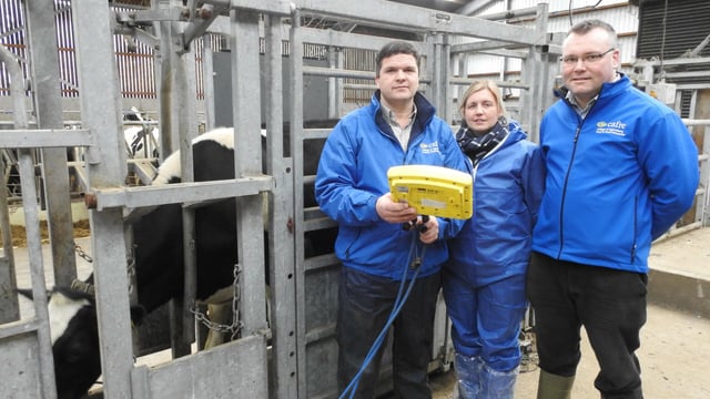 Poor heifer management could be costing your business