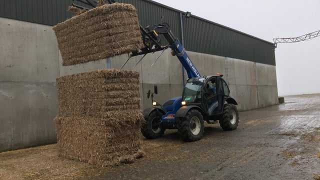 Forage focus: 'Straw Chip' a thriving business on a tillage farm
