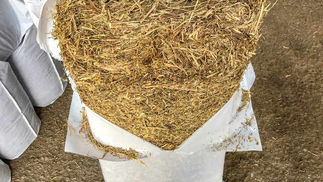 Forage focus: Producing 20,000 bales of haylage in Co. Tipperary