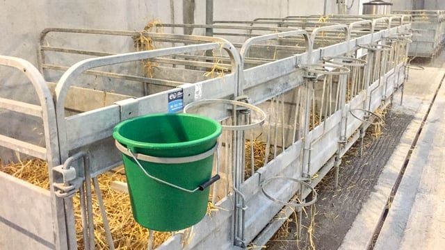 Is your calf shed fit for purpose?