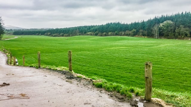 Dairy focus: Breaking rock, turning bog and producing 550kg of solids in Co. Cork