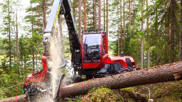 Scope for McHale Plant Sales to enjoy 40% growth in the next few years
