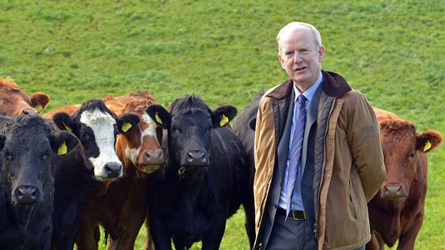 AFBI to present profit-based research findings at major dairy open day