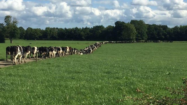 Growing a 400-cow unit with work/life balance in mind