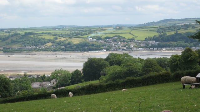 Welsh farmers must 'hold political feet to fire' on Brexit