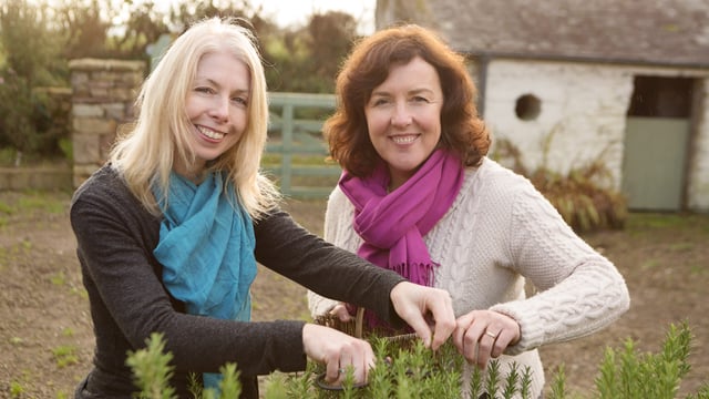 Lismore enterprise 'cleans up' on sowing of wild oats