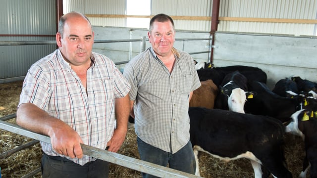 Countdown on to the NI Beef Expo - NI's biggest technical beef event