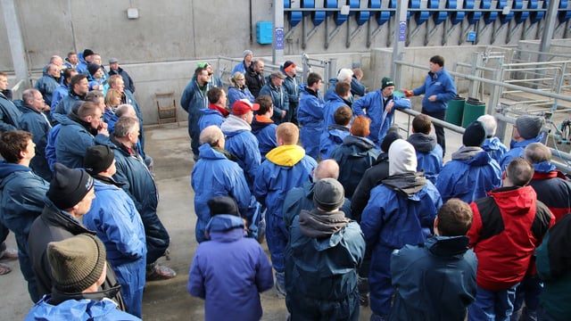 One in three Northern Ireland dairymen turn out to Dairy Open Days