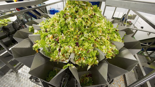 Salad giant Willowbrook secures €2.5m of additional business in ROI