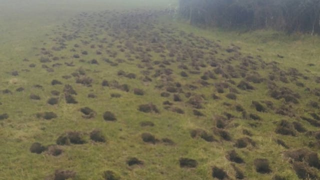 Farmer frustration at land damaged by trespassing hunt