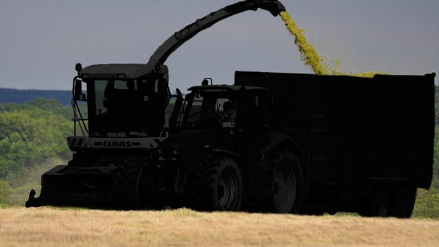 Major contracting machinery auction looms large